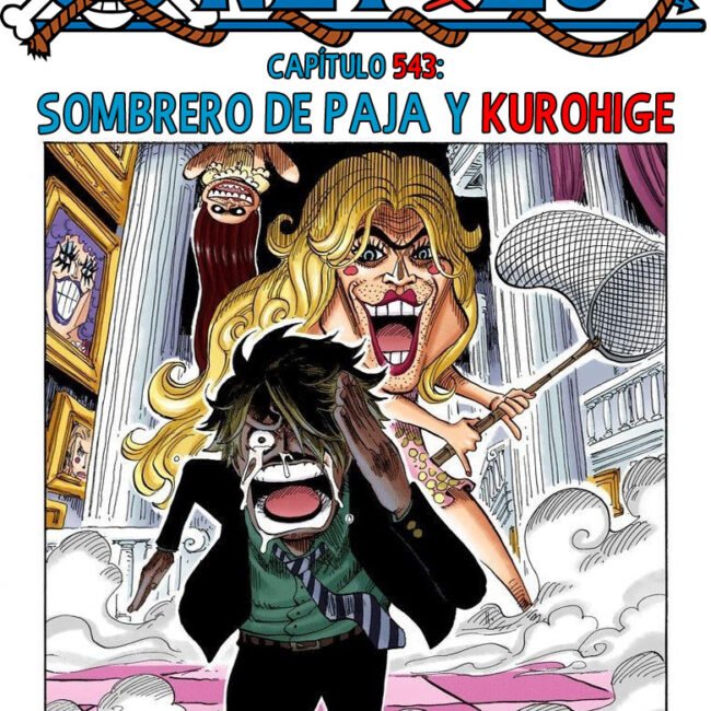 One Piece Minihistoria ¿Qué paso con los mugiwara después de Sabaody? Sanji